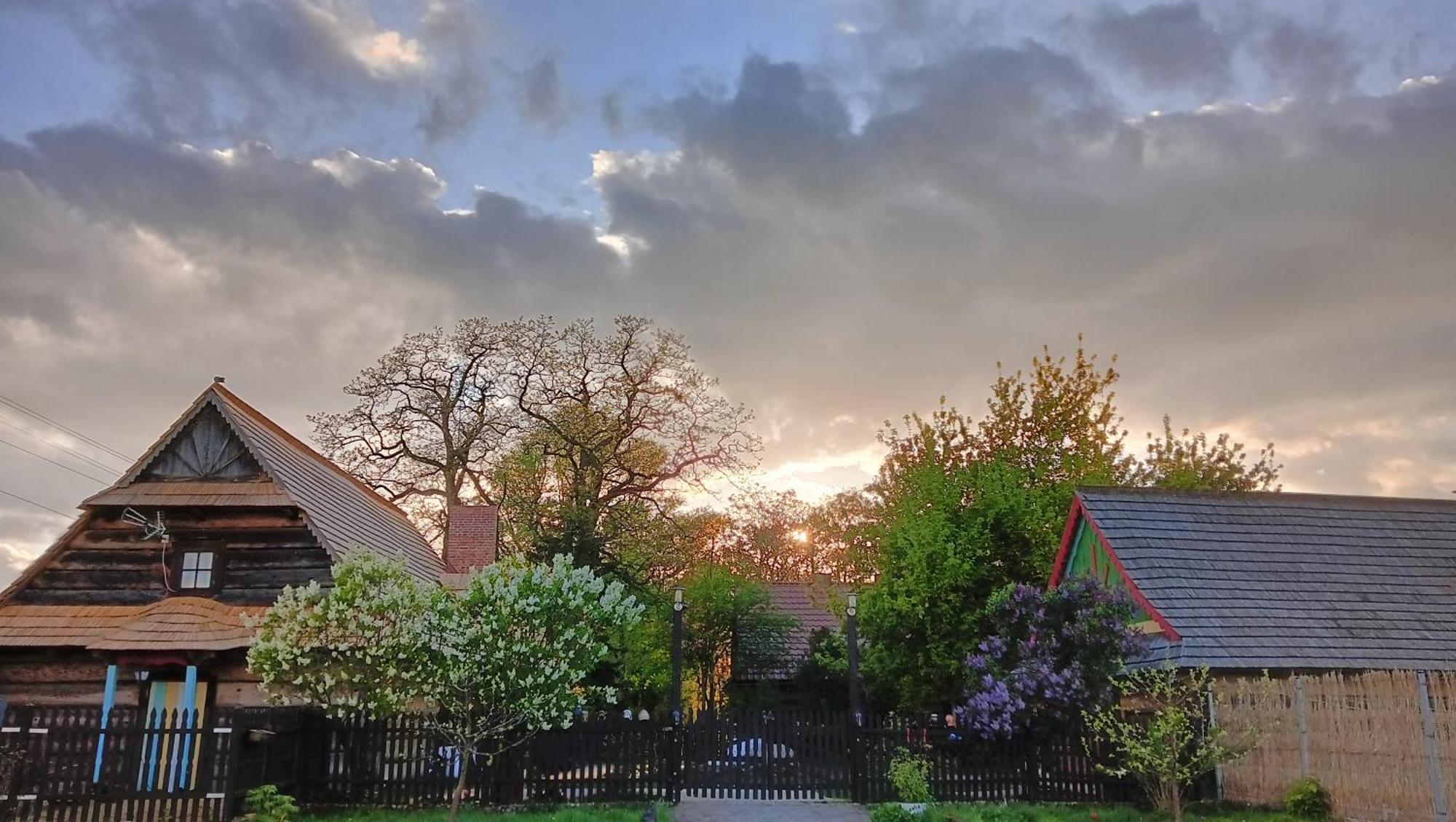 Gniazdo W Felicjanowie Uniejów Exterior foto